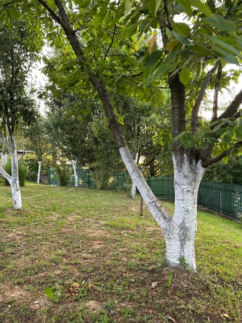 Holiday house Sarajevo Villa in Federation of Bosnia and Herzegovina