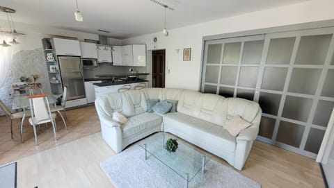 Kitchen or kitchenette, Living room, Dining area, oven, pet friendly, stove