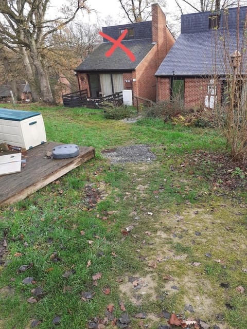 Le Ptit Nid Ivoire House in Wallonia, Belgium