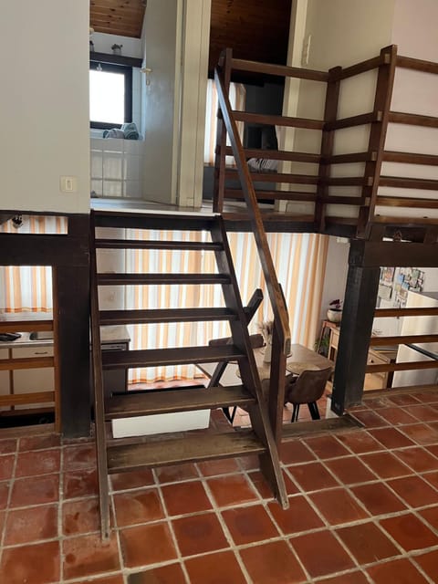 Le Ptit Nid Ivoire House in Wallonia, Belgium