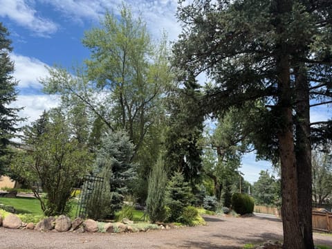 Natural landscape, Garden, Garden view