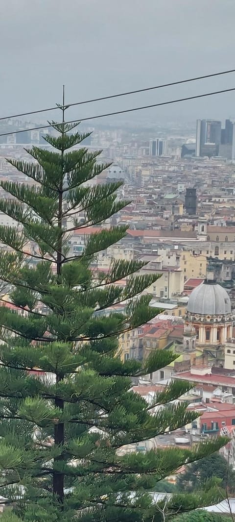 City view