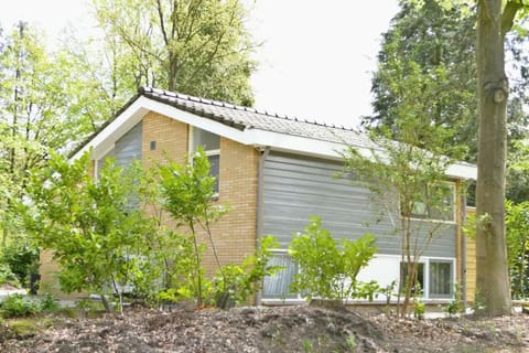 Property building, Spring, Day