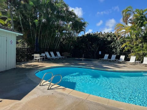Swimming pool, sunbed