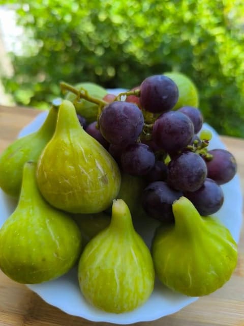 Grünner Apartments Apartment in Dobrota