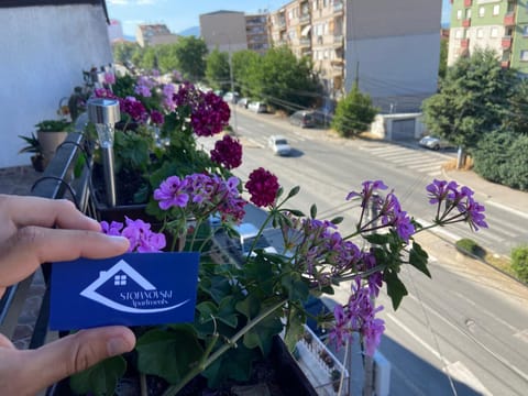 Day, Street view, Location, Parking