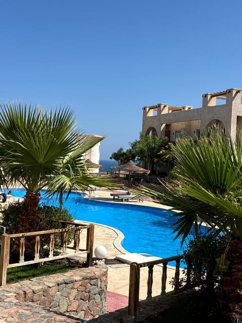 Garden, Swimming pool