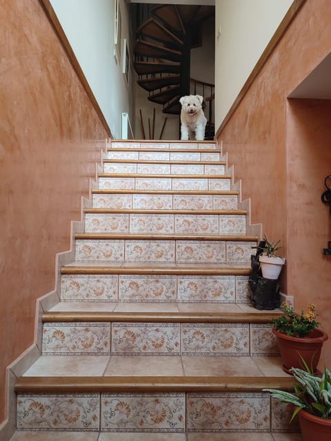 Casa A RODA House in Viana do Castelo District, Portugal