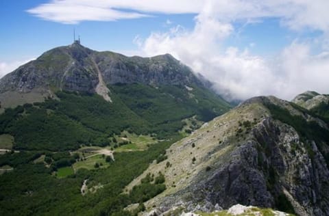 Apartman Martinović Apartment in Montenegro