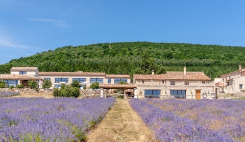 Property building, Natural landscape, Summer, View (from property/room), Garden view, Mountain view