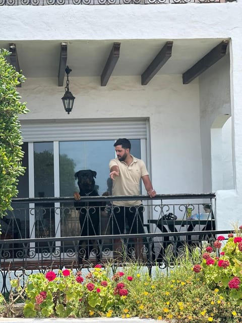 Property view