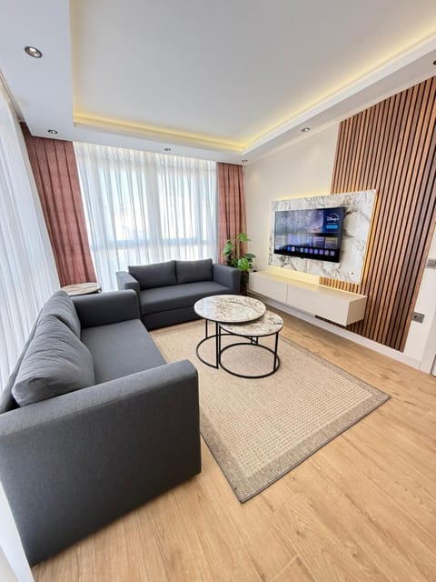 TV and multimedia, Living room, Seating area, air conditioner
