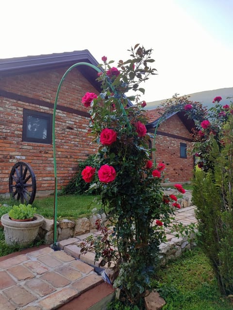 Property building, Spring, Day, Garden view