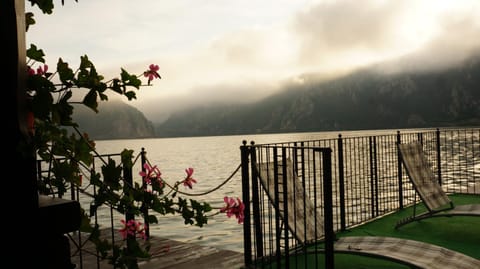 Natural landscape, Garden