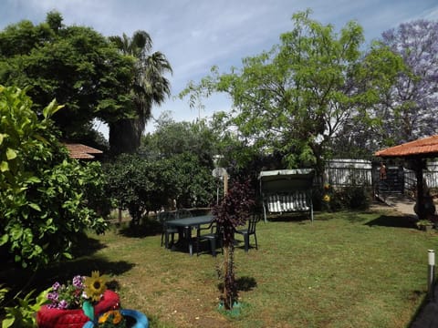 Activities, Area and facilities