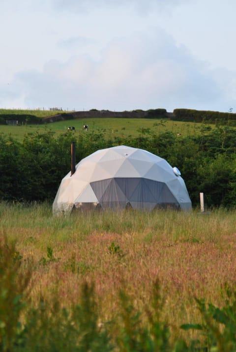 Property building, Natural landscape