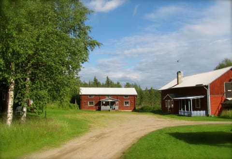 Property building, Day, Garden