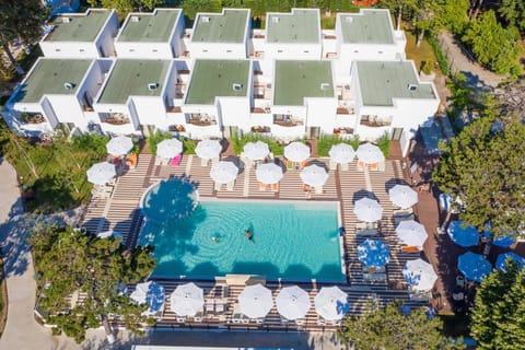 Bird's eye view, Decorative detail, Aqua park, Swimming pool