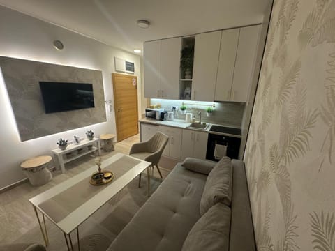 Gold LUX Apartment in Novi Sad