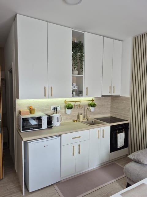 Gold LUX Apartment in Novi Sad