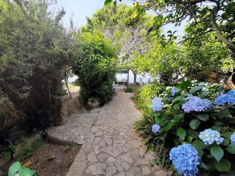GIARDINO BLU OLTREMARE - exlusive garden House in Campania
