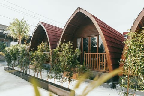 Property building, Day, Garden