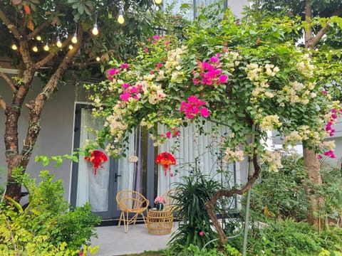 Patio, Spring, Day, Garden, Garden view