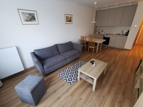 Kitchen or kitchenette, Living room, Seating area, Dining area, internet