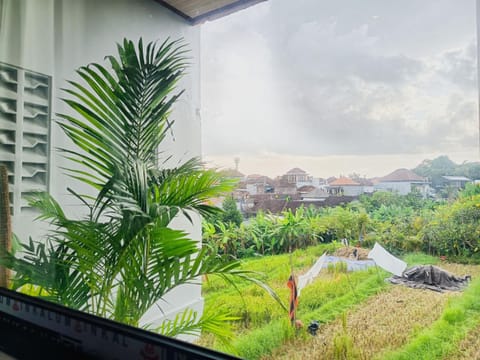 View (from property/room), City view