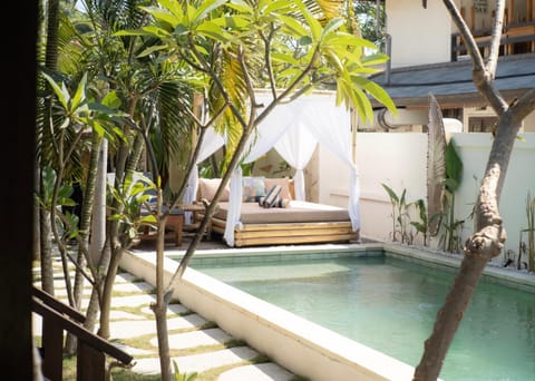 Property building, Patio, Natural landscape, Garden, Garden view, Pool view, Swimming pool