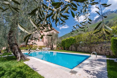 Spring, Day, Natural landscape, Garden, Mountain view, Pool view, Swimming pool