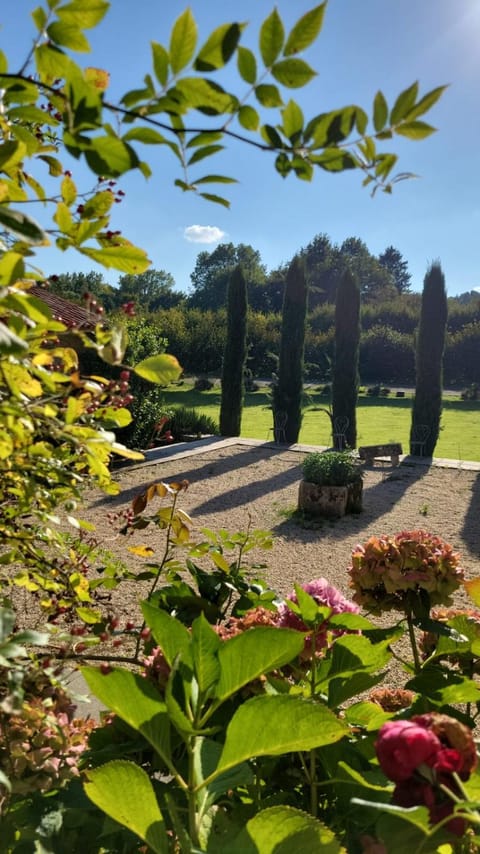 Day, Garden, Garden view