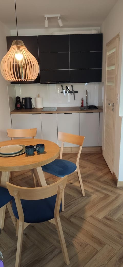 Kitchen or kitchenette, Dining area, stove