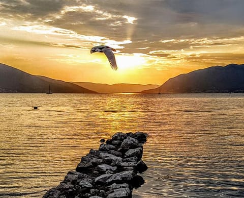 Pansion Svetlana Bed and Breakfast in Kotor Municipality