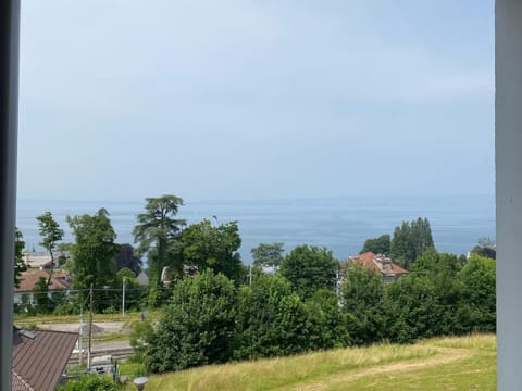 Appartement Au bord du Lac de Genève Apartment in Évian-les-Bains