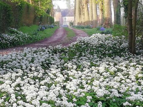 Spring, Garden view