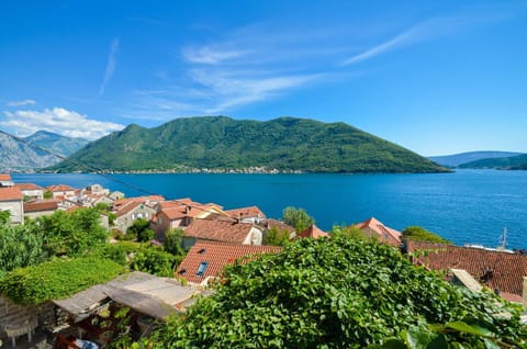Old stone seaview house Villa in Kotor Municipality