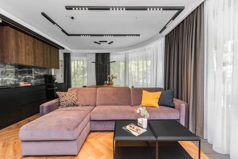 Kitchen or kitchenette, Living room, Seating area, Dining area