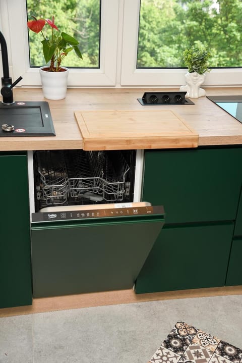 Kitchen or kitchenette, dishwasher, stove