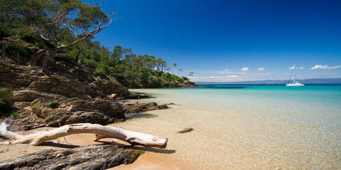 Nearby landmark, Natural landscape, Beach