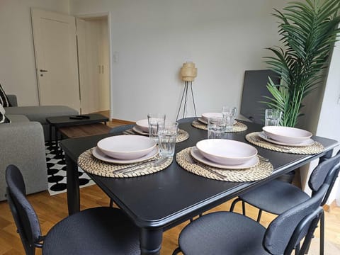 Downtown Dream 3 5BR with Balcony and Style BA21 House in Zurich City