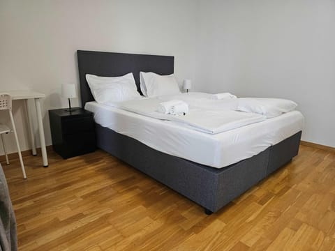 Downtown Dream 3 5BR with Balcony and Style BA21 House in Zurich City