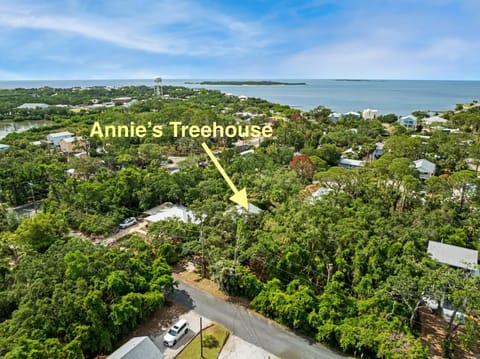 Annies Treehouse A Cozy Canopy Getaway in Cedar Key House in Cedar Key