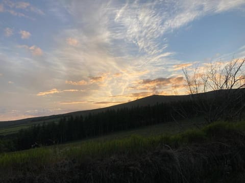 Mountain lodge north Wexford sleeps 4 Apartment in Wicklow, Co. Wicklow, Ireland