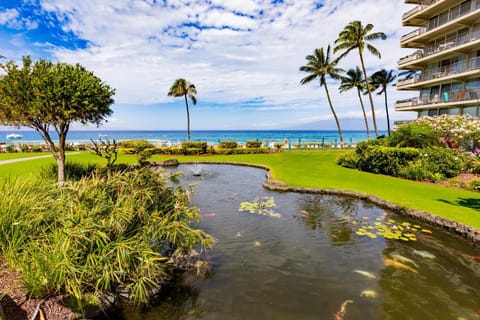 Whaler #123 Garden Ocean View Special Pricing House in Kaanapali
