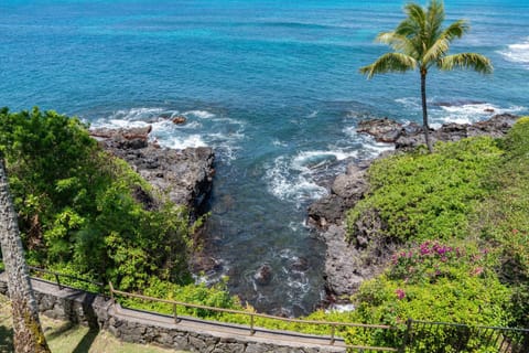 Spectacular Oceanfront Home - Honu Hale House in Kapalua