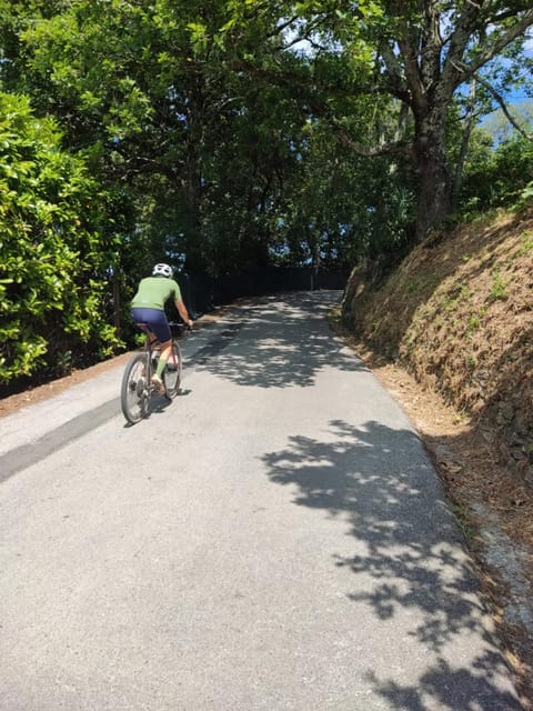 Natural landscape, Cycling