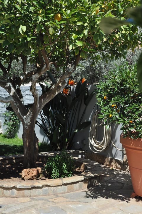 Garden, Garden view
