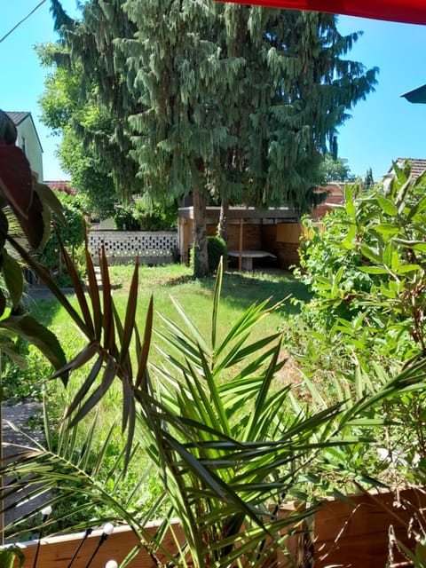 Garden, Garden view
