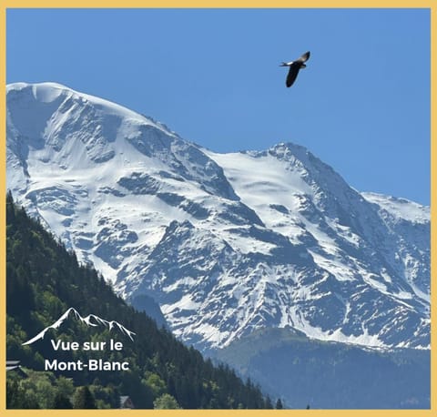 Appartement La Comtesse I Centre de Saint-Gervais Apartment in Saint-Gervais-Bains